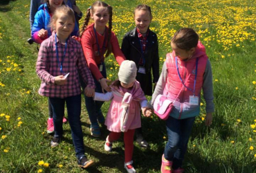 Przez łąkę kwiatową