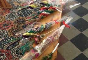 Wileńskie Palmy Wileńskie Palmy